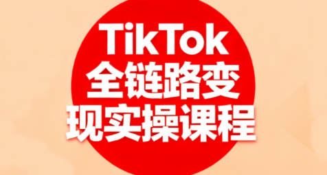 小杨老师·TikTok全链路变现实操课程-南友云赚