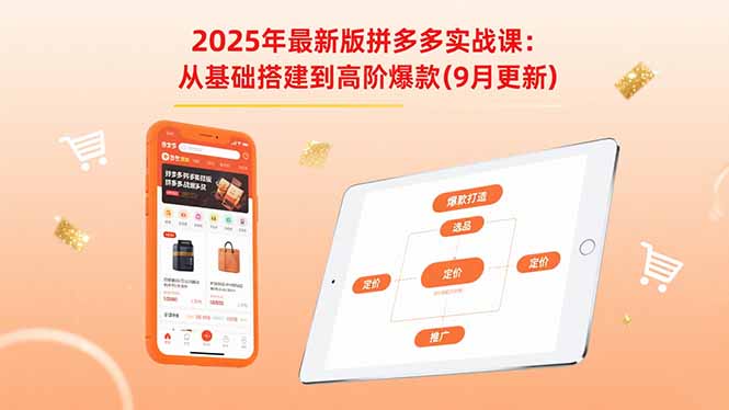 2025年最新版拼多多实战课：从基础搭建到高阶爆款(9月更新-南友云赚