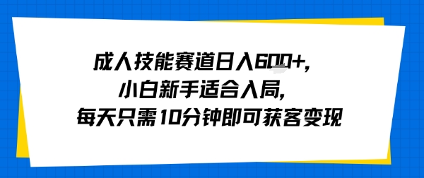 成人技能赛道日入多张，小白新手适合入局，每天只需10分钟即可获客变现-南友云赚
