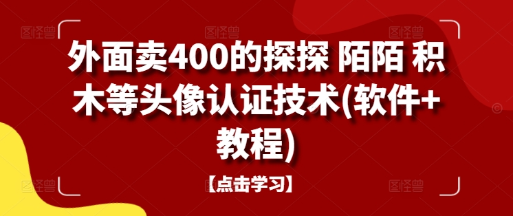 外面卖400的探探 陌陌 积木等头像认证技术(软件+教程)-南友云赚
