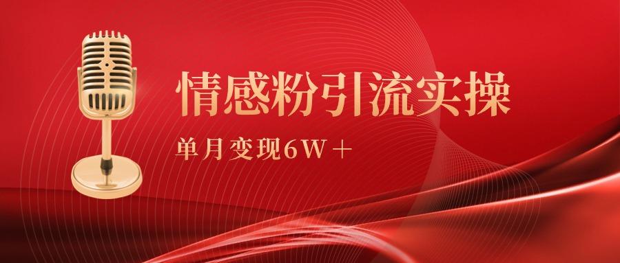 (9473期)单月变现6w+，情感粉引流变现实操课-南友云赚