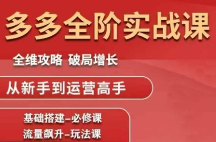 大炮·拼多多全阶实战课程(更新2026)-南友云赚