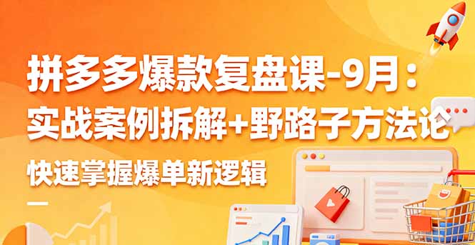 拼多多爆款复盘课-9月：实战案例拆解+野路子方法论，快速掌握爆单新逻辑-南友云赚