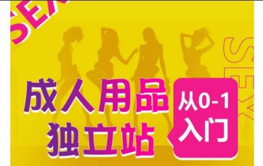 75ead1334b4cd83af30ece21b659003c.jpeg 成人用品独立站从0-1入门,成品独立站运营全流程教学,七大好卖成品独立站推荐