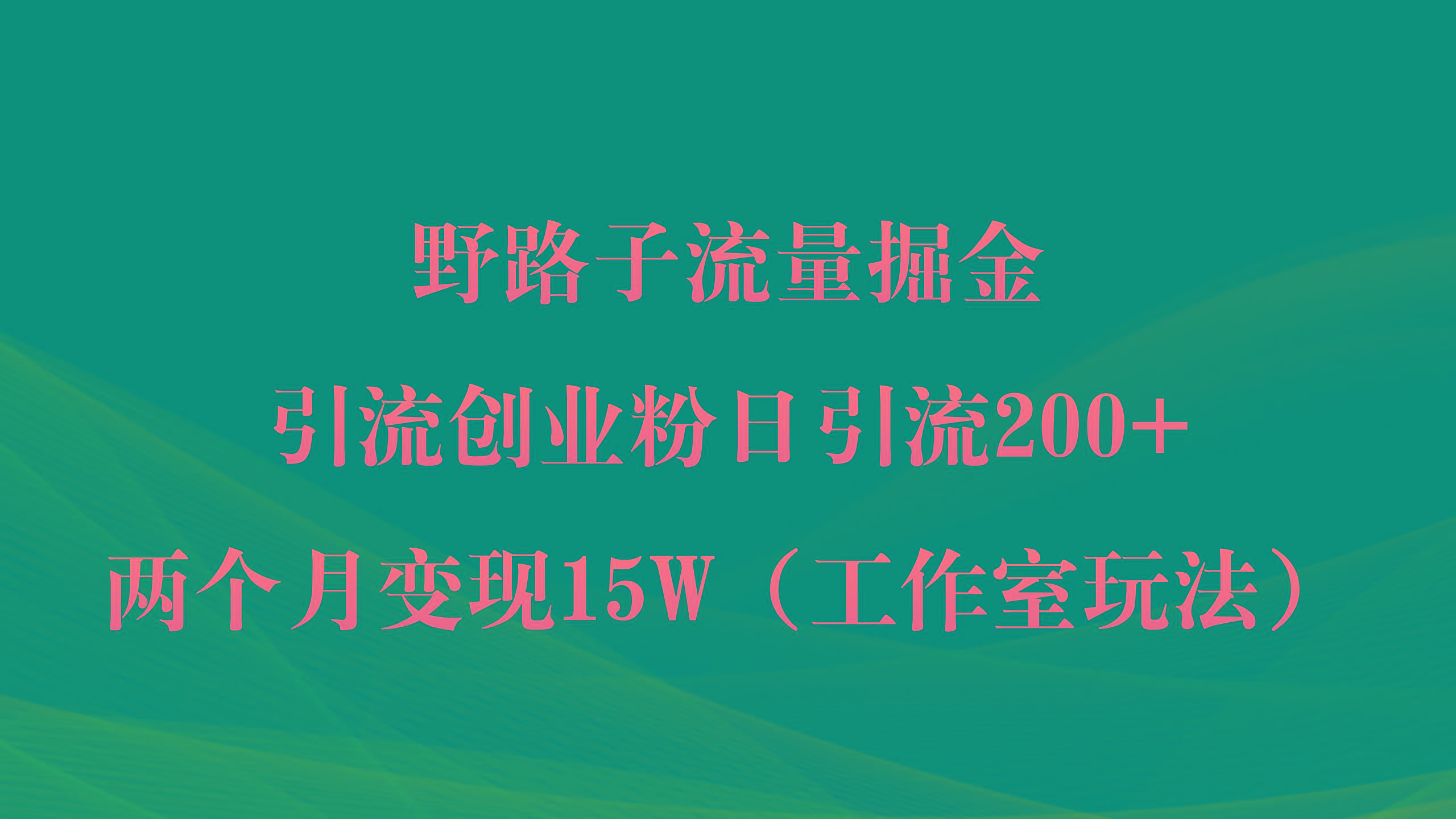 (9513期)野路子流量掘金，引流创业粉日引流200+，两个月变现15W(工作室玩法))-南友云赚