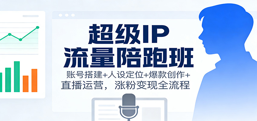 超级IP流量陪跑班：账号搭建+人设定位+爆款创作+直播运营，涨粉变现全流程-南友云赚