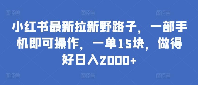 小红书最新拉新野路子，一部手机即可操作，一单15块，做得好日入2000+【揭秘】-南友云赚