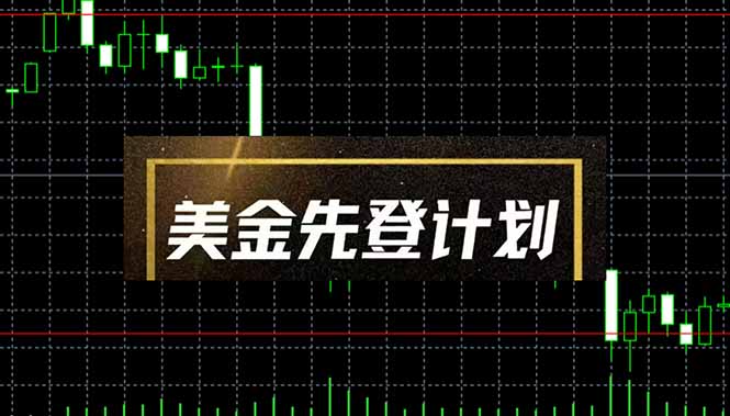 美金先登计划(2025黑马项目-南友云赚
