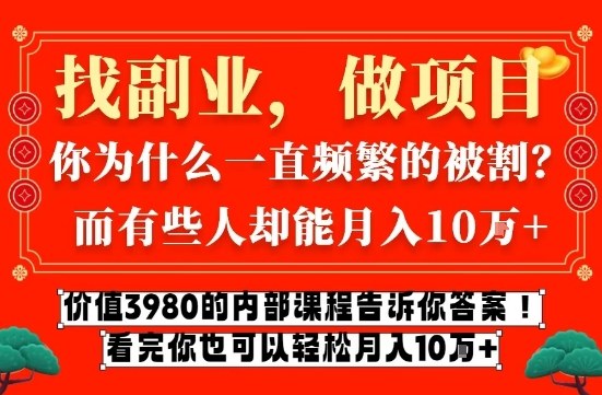 价值3980的网创内部课程，告诉你互联网创业月入10个W的秘密【揭秘】-南友云赚