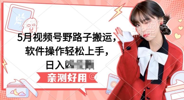 5月视频号野路子搬运，软件操作轻松上手，日入三位数【揭秘】-南友云赚