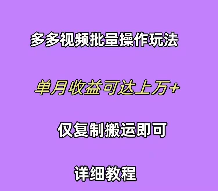 (10029期)拼多多视频带货快速过爆款选品教程 每天轻轻松松赚取三位数佣金 小白必…-南友云赚