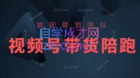 狼团联盟·2024视频号带货-南友云赚