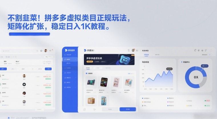 不割韭菜！拼多多虚拟类目正规玩法，矩阵化扩张，稳定日入1K教程【揭秘】-南友云赚