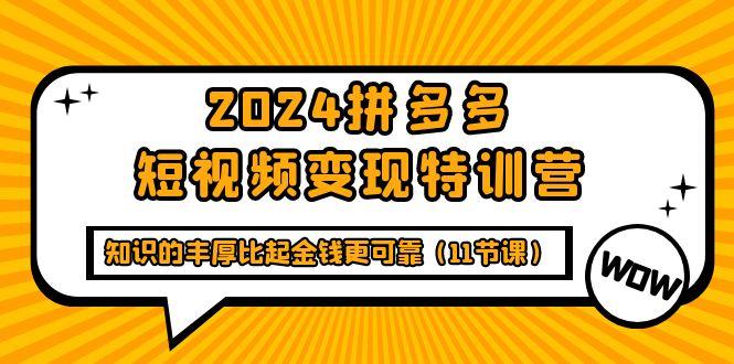 (9817期)2024拼多多短视频变现特训营，知识的丰厚比起金钱更可靠(11节课)-南友云赚