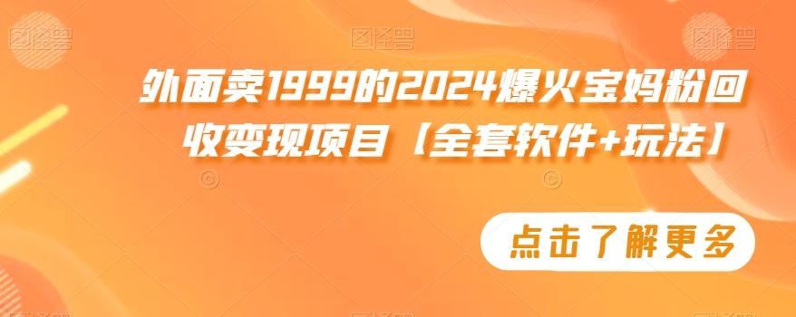 外面卖1999的2024爆火宝妈粉回收变现项目【全套软件+玩法】【揭秘】-南友云赚