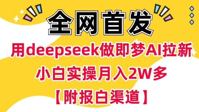 用deepseek做即梦Ai拉新 小白实操月入过W+【附报白渠道】-南友云赚
