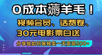 0成本薅羊毛!视频会员、话费卷、30元电影票白送，分享我如何靠转卖一天变现5张+【揭秘】-南友云赚