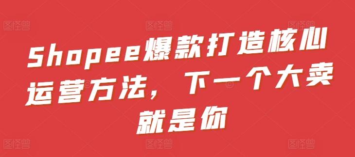 Shopee爆款打造核心运营方法，下一个大卖就是你-南友云赚