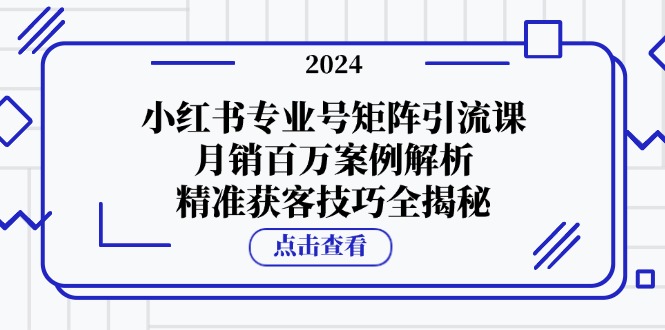 小红书专业号矩阵引流课，月销百万案例解析，精准获客技巧全揭秘-南友云赚