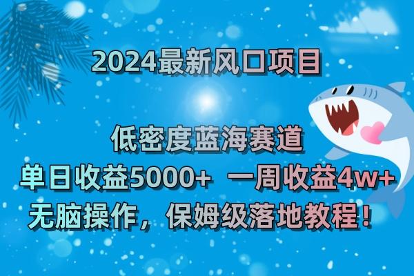 (8545期)2024最新风口项目 低密度蓝海赛道，日收益5000+周收益4w+ 无脑操作，保…-南友云赚