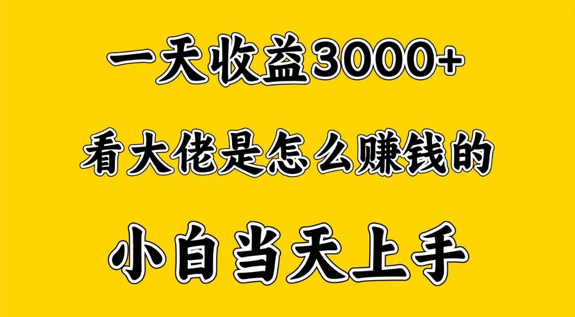 一天赚3000多，大佬是这样赚到钱的，小白当天上手，穷人翻身项目-南友云赚