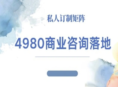 4980商业咨询师落地课程-ip运营高客单教程-南友云赚