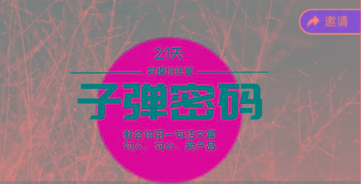 《子弹密码训练营》-用一句话文案勾人勾心卖产品，21天学到顶尖文案大师策略和技巧-南友云赚