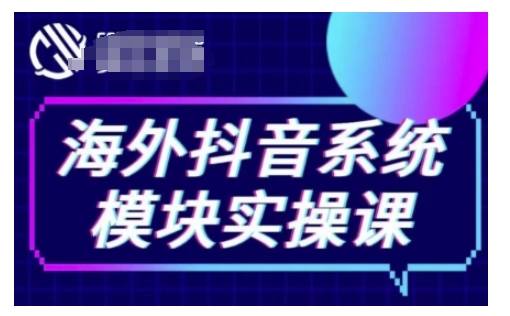 海外抖音Tiktok系统模块实操课，TK短视频带货，TK直播带货，TK小店端实操等-南友云赚
