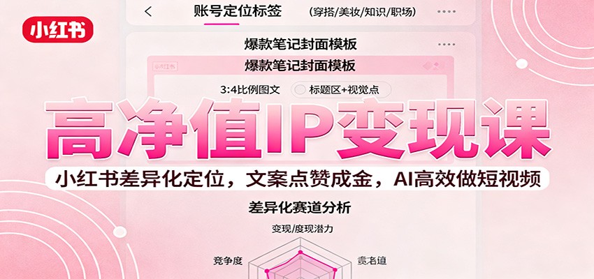 高净值IP变现课：小红书差异化定位，文案点赞成金， AI高效做短视频-南友云赚