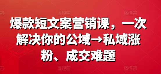 爆款短文案营销课，一次解决你的公域→私域涨粉、成交难题-南友云赚