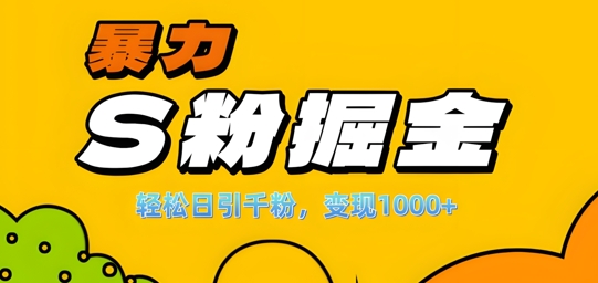 单人单机日引千粉，变现1k+，S粉流量掘金计划攻略【揭秘】-南友云赚