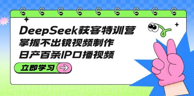 DeepSeek获客特训营:掌握不出镜视频制作,日产百条IP口播视频-南友云赚