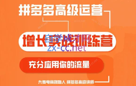 大麦老师·拼多多单品爆款打造课程(更新6月)-南友云赚