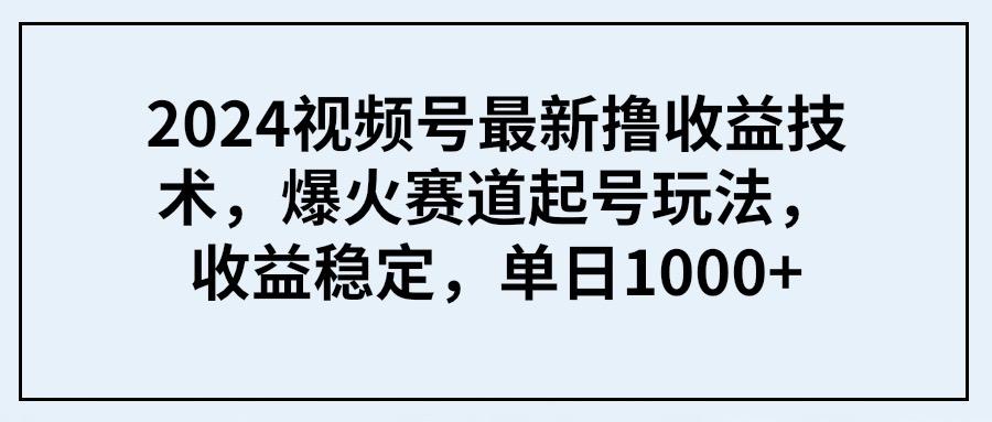 (9651期) 2024视频号最新撸收益技术，爆火赛道起号玩法，收益稳定，单日1000+-南友云赚