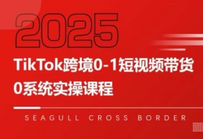 8c4d22b86d552678c017c8415f7dd39a.jpeg 大亿老师·TikTok跨境0-1短视频带货