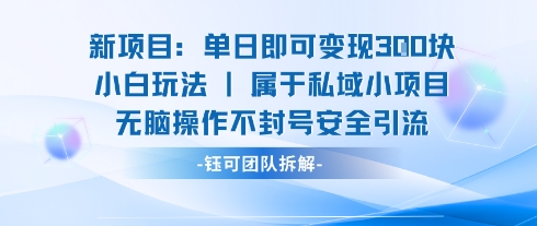 新项目单日即可变现3张的小白玩法无脑操作不封号安全引流-南友云赚