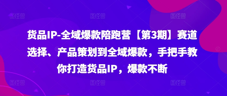 货品IP全域爆款陪跑营【第3期】赛道选择、产品策划到全域爆款，手把手教你打造货品IP，爆款不断-南友云赚