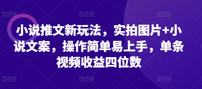 小说推文新玩法，实拍图片+小说文案，操作简单易上手，单条视频收益四位数-南友云赚