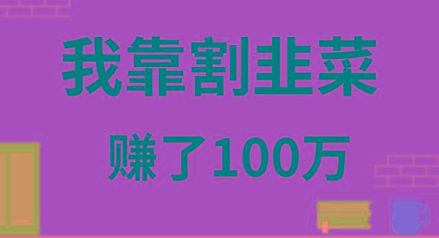 我靠割韭菜赚了 100 万-南友云赚