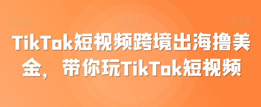 TikTok短视频跨境出海撸美金，带你玩TikTok短视频-南友云赚