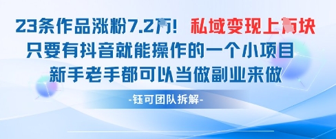 抖音私域项目23条作品涨粉7.2W，私域变现1W-南友云赚