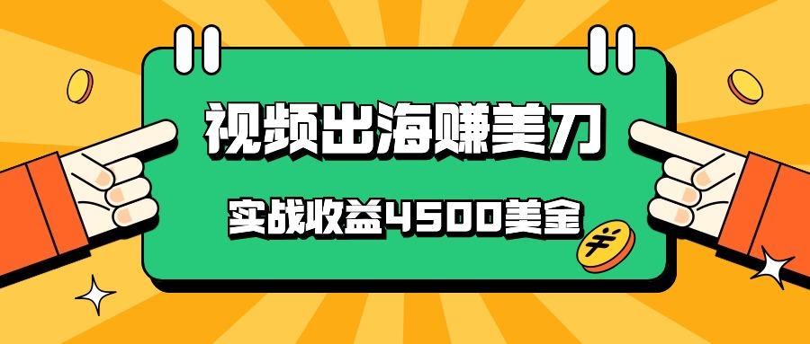 国内爆款视频出海赚美刀，实战收益4500美金，批量无脑搬运，无需经验直接上手-南友云赚