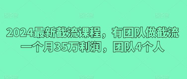 2024最新截流课程，有团队做截流一个月35万利润，团队4个人-南友云赚