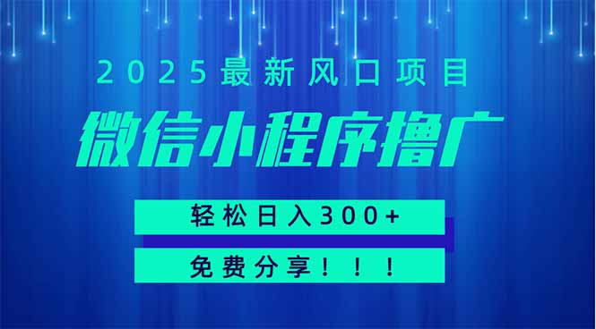 微信小程序撸广，最新风口项目，日入300+ 免费分享 可批量操作 小白可…-南友云赚