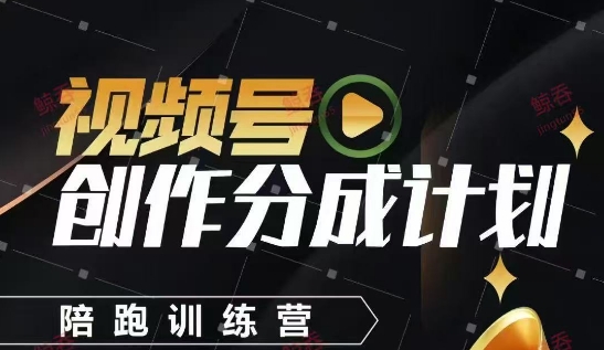 视频号创作分成计划陪跑训练营，手把手教会你如何制作视频，细水长流型项目-南友云赚