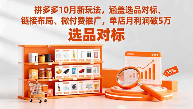 拼多多10月新玩法，涵盖选品对标、链接布局、微付费推广，单店月利润破5万-南友云赚
