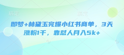 即梦+林黛玉完爆小红书商单，3天涨粉1千，靠怼人月入5k+-南友云赚