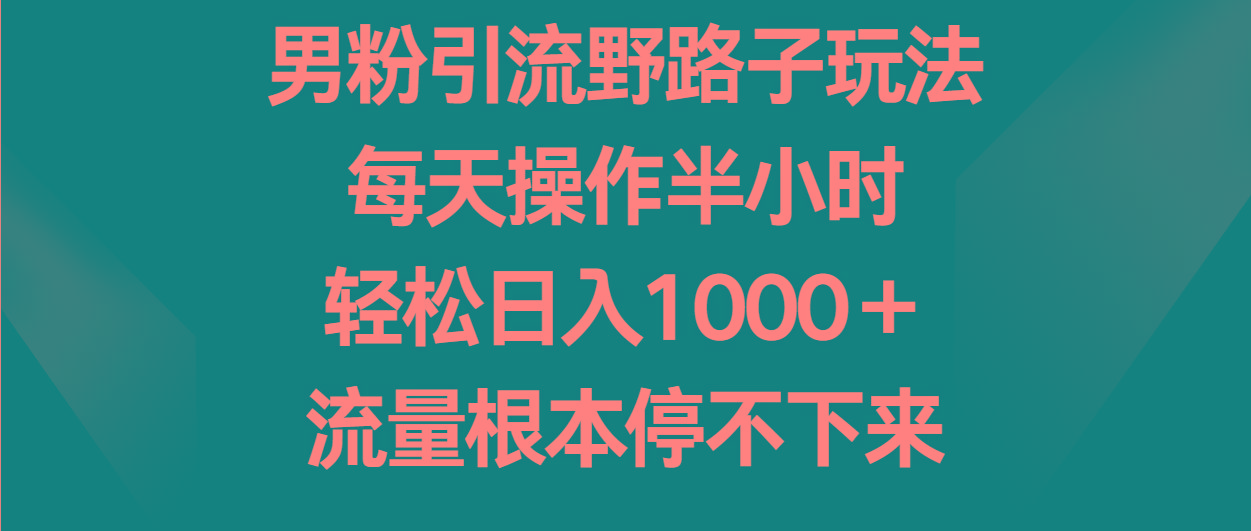 男粉引流野路子玩法,每天操作半小时轻松日入1000+,流量根本停不下来-南友云赚