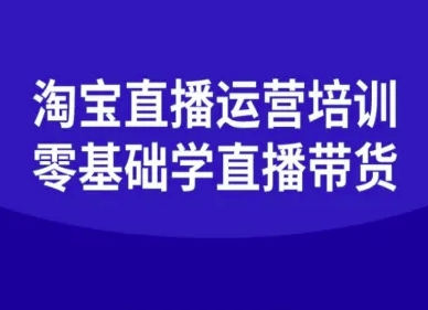 淘宝直播运营培训-零基础学会直播卖货-南友云赚