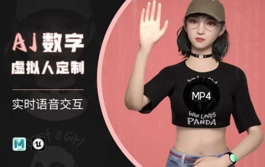 Ai数字人虚拟(智能体)实时语音交互特训营，​自行定制超写实角色AI数字人交互技术-南友云赚